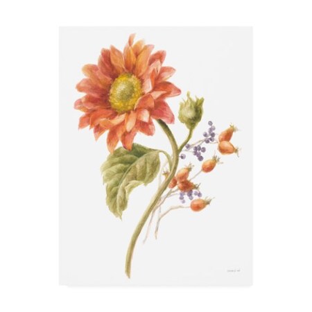 Trademark Fine Art Danhui Nai 'Floursack Autumn II on White' Canvas Art, 35x47 WAP11384-C3547GG